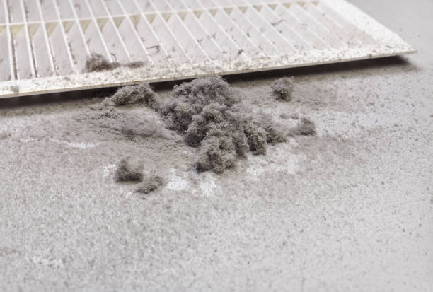 Best Ductwork Cleaning Services  in Richardson, TX