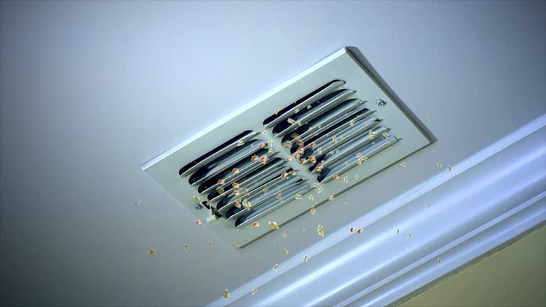Best Home Air Vent Cleaning  in Richardson, TX